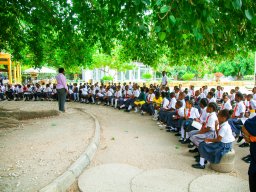 Primary School